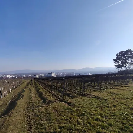 Sweet - Weinbergblick Mit Privatgarage, Balkon Und Arbeitsplatz Krems an der Donau