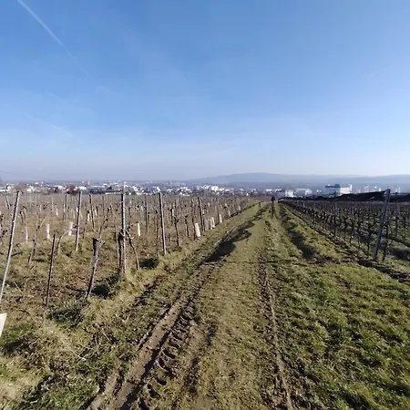 Apartament Sweet - Weinbergblick Mit Privatgarage, Balkon Und Arbeitsplatz Krems an der Donau