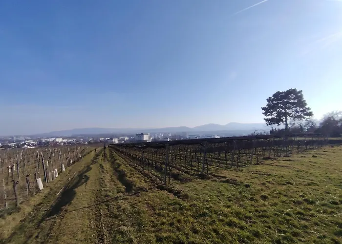 Sweet - Weinbergblick Mit Privatgarage Krems an der Donau