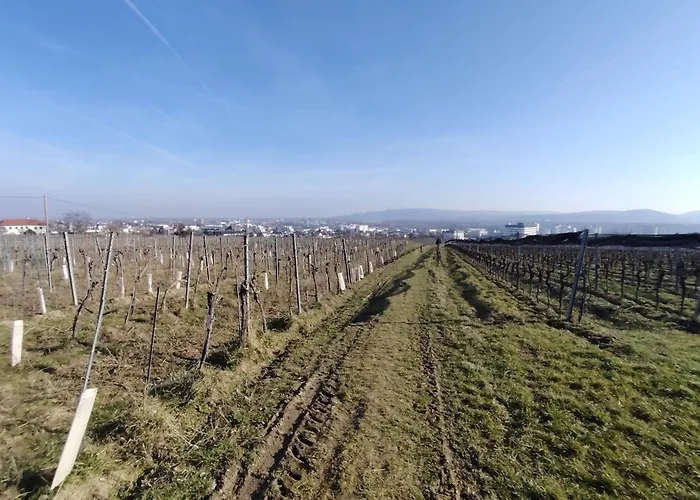 Apartment Sweet - Weinbergblick Mit Privatgarage Krems an der Donau